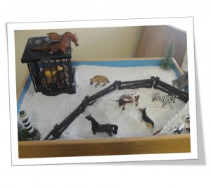 Sand Trays are often used in Play Therapy.